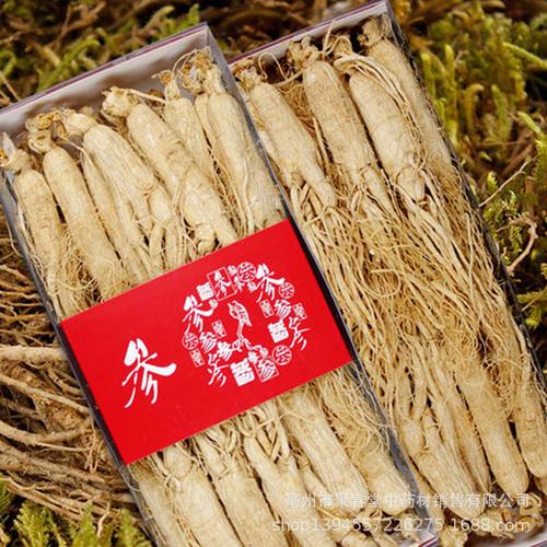 长白山人参选购指南 生晒参片、红参个与现磨人参的质量鉴别与应用