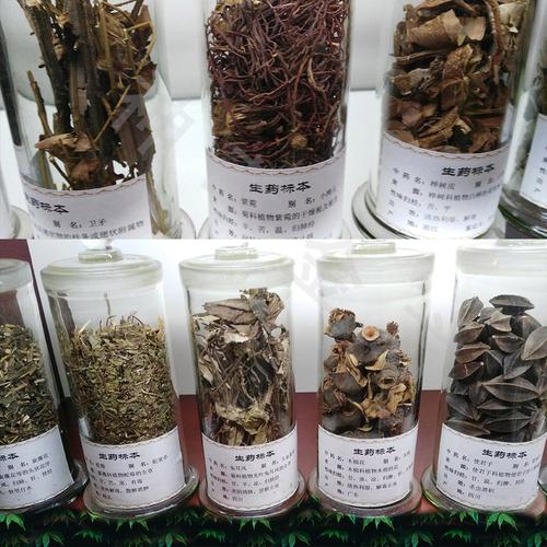 神草金方 手工中药材标本的艺术与科学