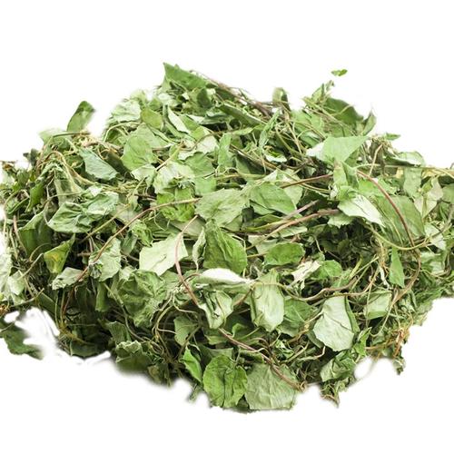 川蜀灵草 四川野生大叶金钱草与它的草药之道